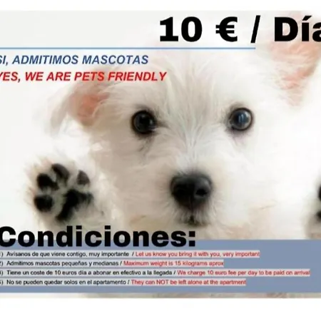 Lindo Pisito Leon